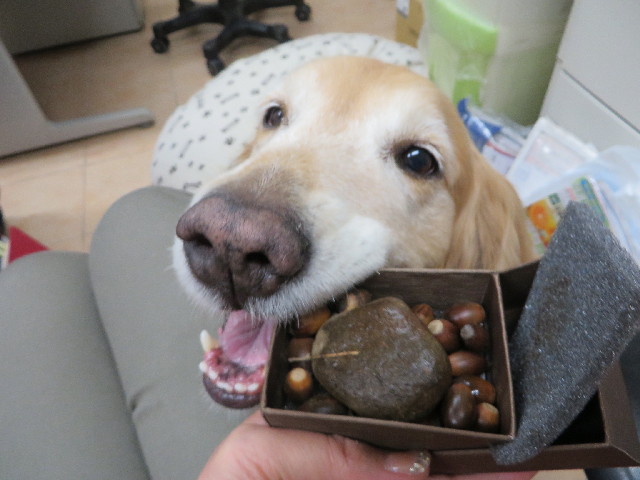 ファイル 3892-3.jpg