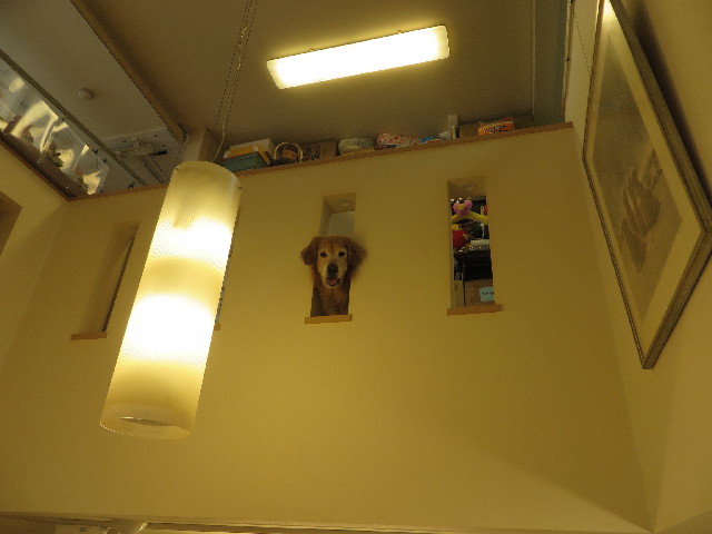 ファイル 3892-5.jpg