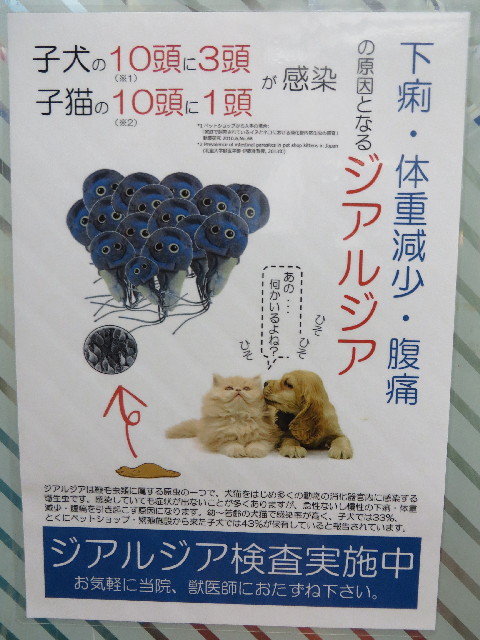 ファイル 3893-1.jpg