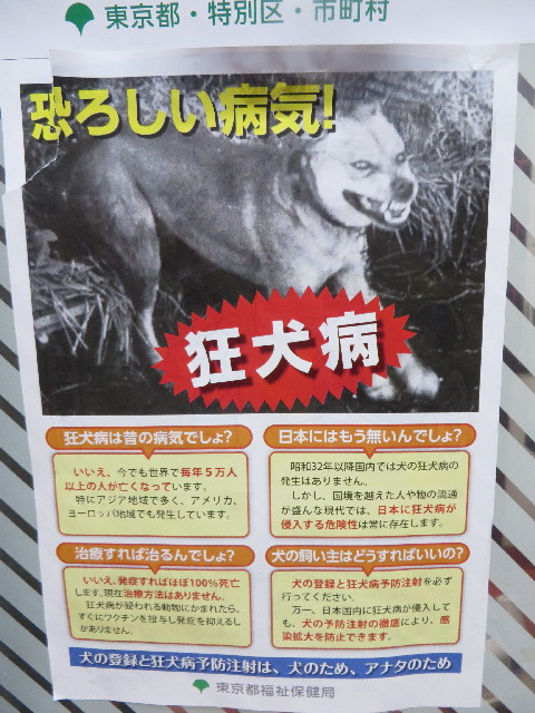 ファイル 3893-3.jpg