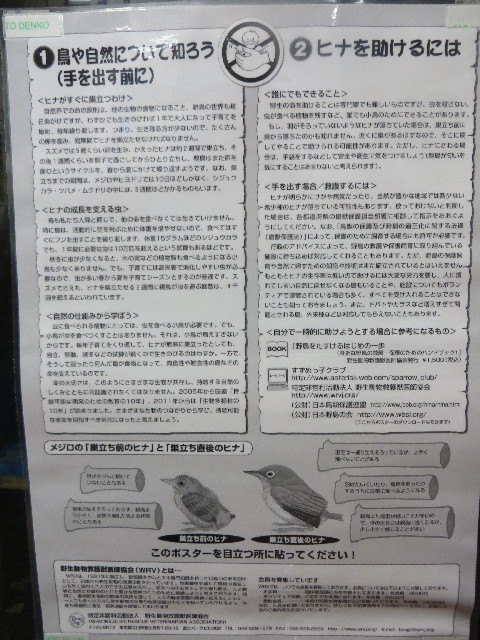 ファイル 3893-5.jpg