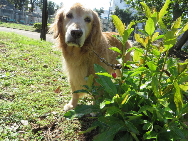 ファイル 3894-1.jpg