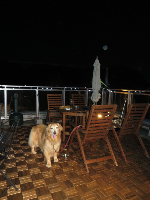 ファイル 3894-4.jpg