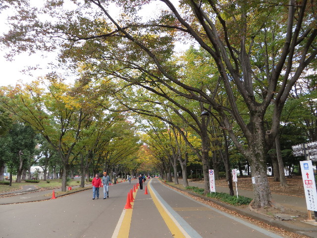 ファイル 3895-2.jpg