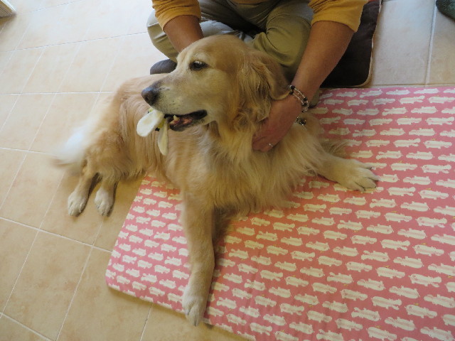 ファイル 3896-1.jpg