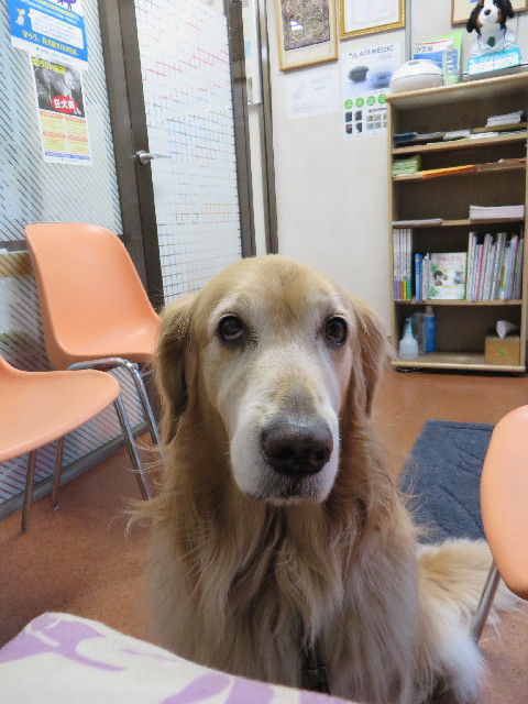 ファイル 3896-3.jpg