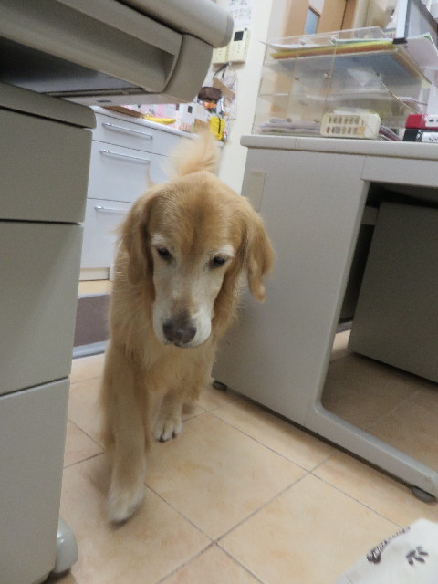 ファイル 3897-4.jpg