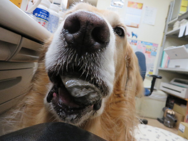 ファイル 3897-5.jpg