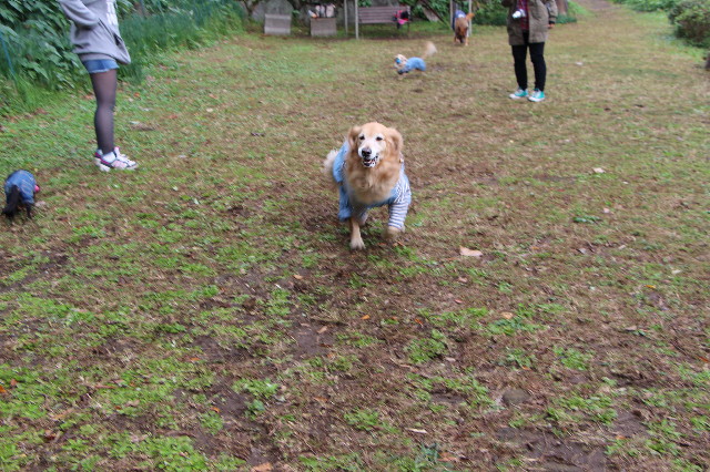 ファイル 3899-1.jpg