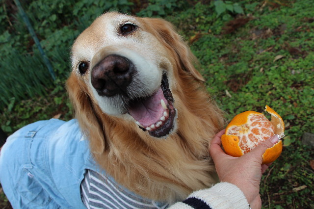 ファイル 3899-3.jpg