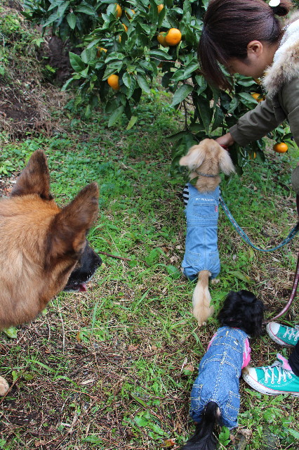 ファイル 3899-4.jpg