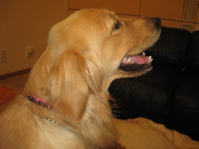 ファイル 390-3.jpg