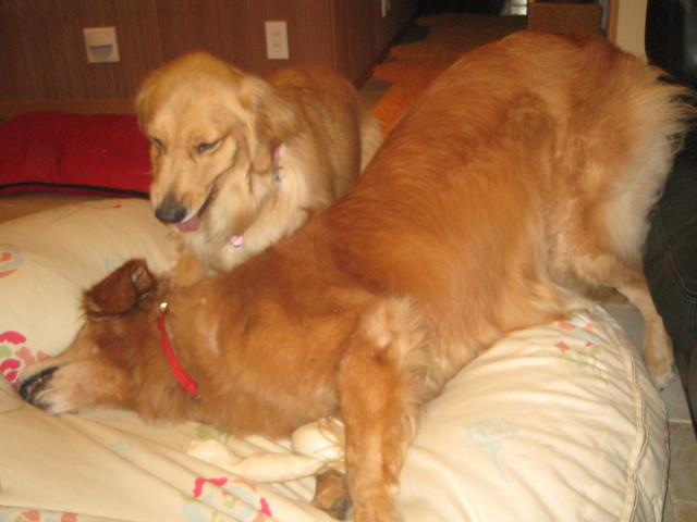 ファイル 390-4.jpg