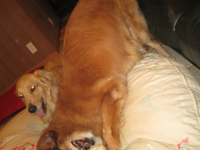 ファイル 390-5.jpg