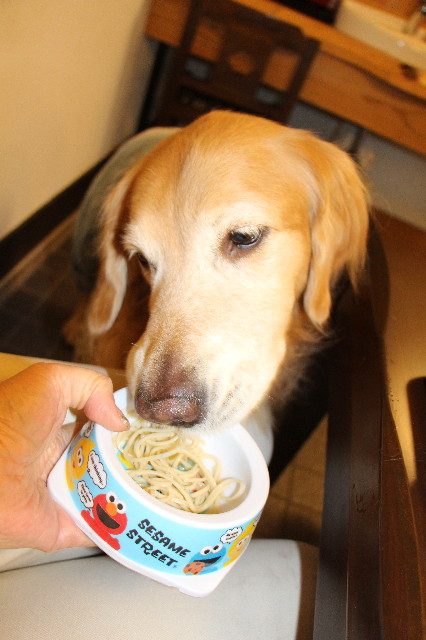 ファイル 3900-4.jpg