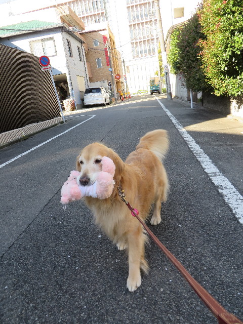 ファイル 3901-2.jpg