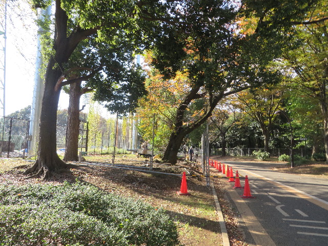 ファイル 3901-4.jpg