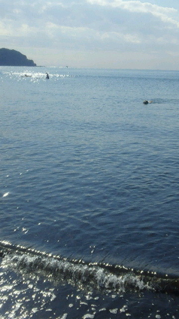 ファイル 3902-2.jpg