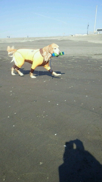 ファイル 3902-3.jpg