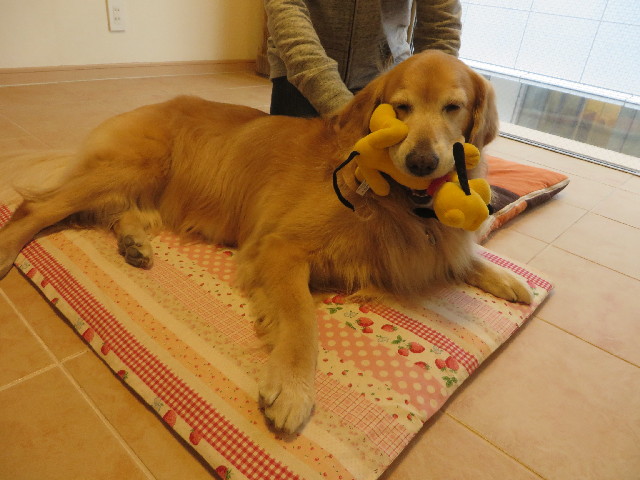 ファイル 3902-5.jpg