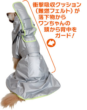 ファイル 3906-2.jpg