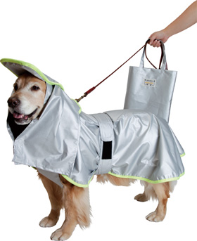 ファイル 3906-4.jpg