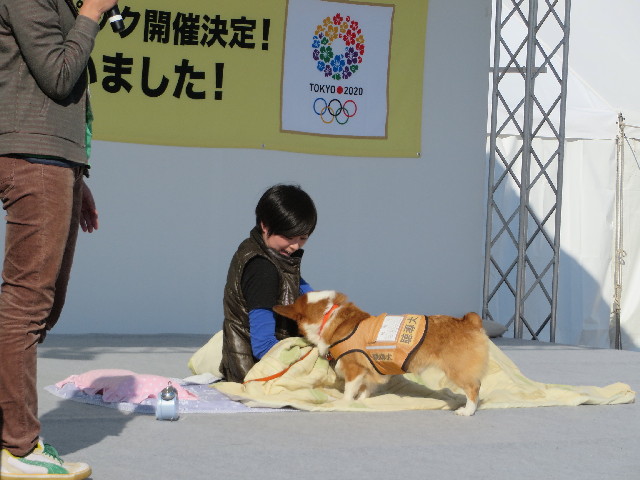 ファイル 3907-2.jpg