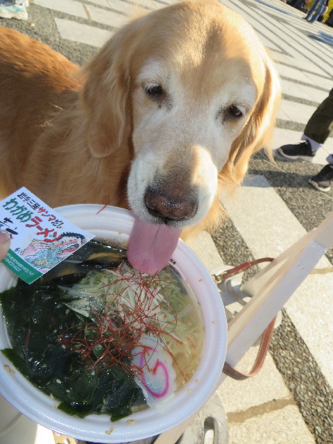 ファイル 3907-4.jpg