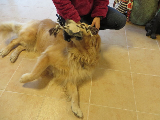 ファイル 3908-4.jpg