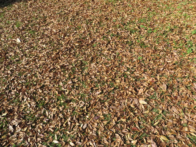 ファイル 3909-3.jpg