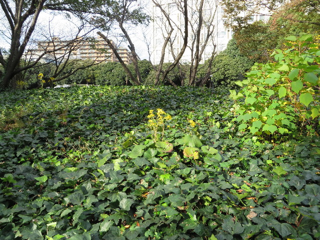 ファイル 3909-4.jpg