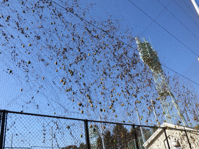 ファイル 3909-5.jpg