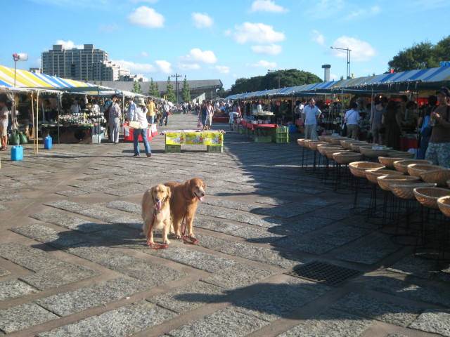 ファイル 391-2.jpg