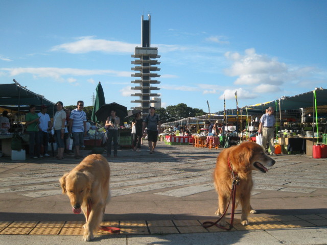 ファイル 391-3.jpg