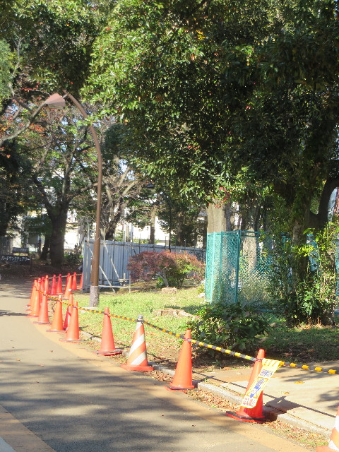 ファイル 3911-1.jpg