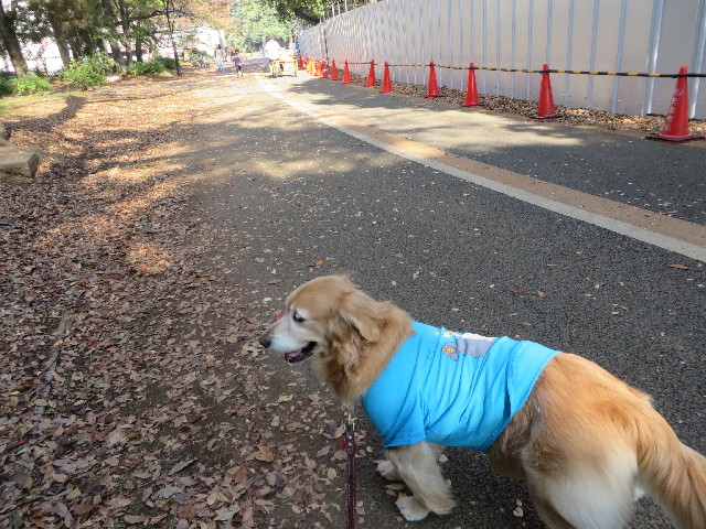 ファイル 3911-2.jpg