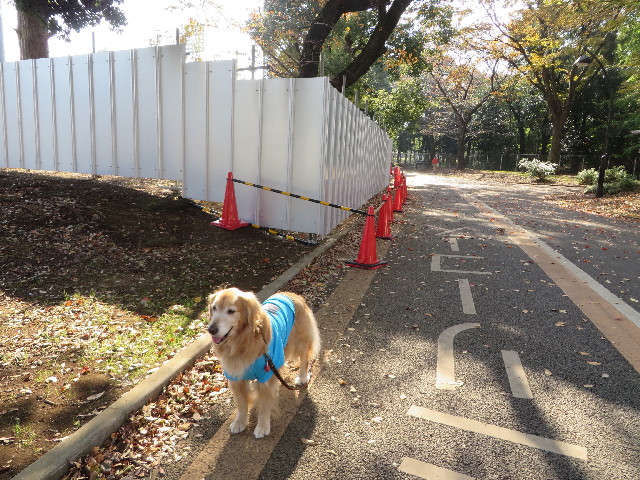 ファイル 3911-4.jpg