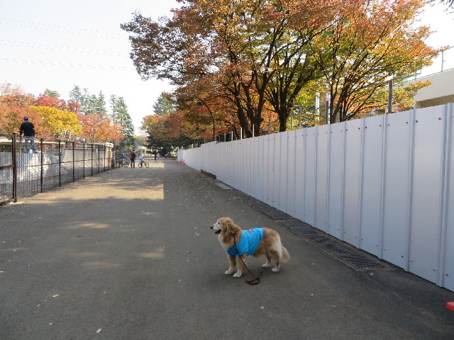 ファイル 3911-5.jpg