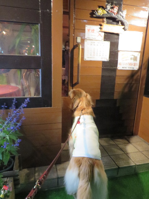 ファイル 3913-1.jpg