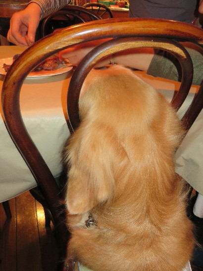 ファイル 3913-2.jpg