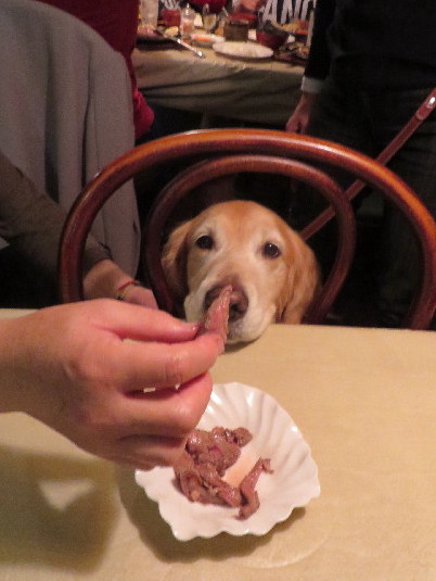 ファイル 3913-5.jpg