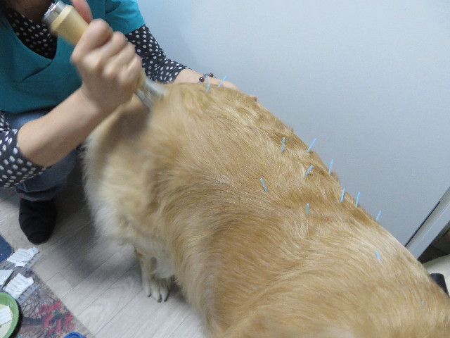 ファイル 3914-2.jpg