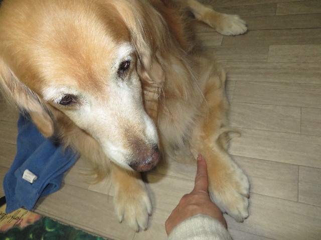 ファイル 3914-4.jpg