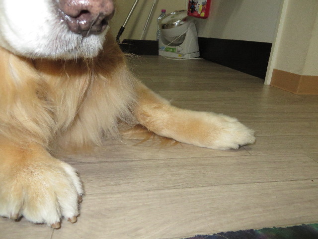 ファイル 3914-5.jpg