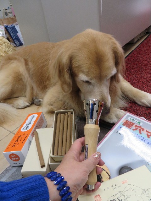 ファイル 3916-3.jpg