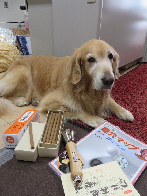 ファイル 3916-4.jpg