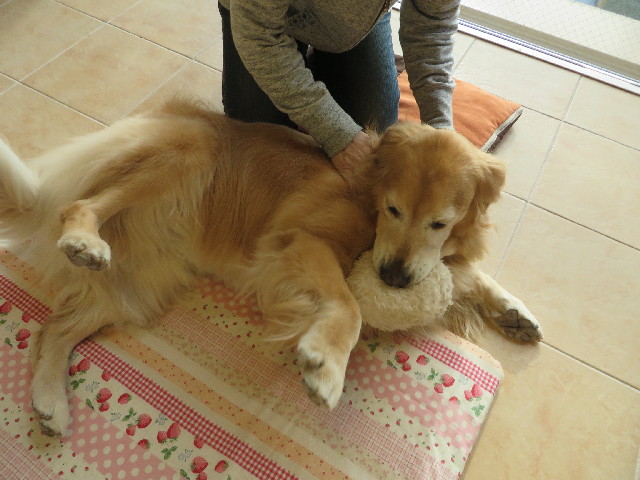 ファイル 3916-5.jpg