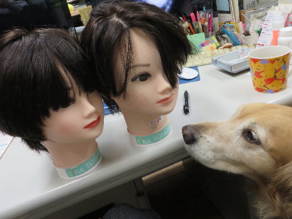 ファイル 3917-2.jpg