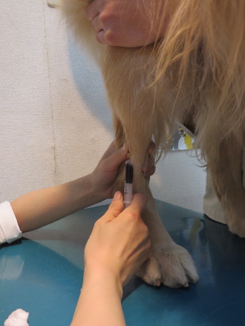 ファイル 3918-1.jpg