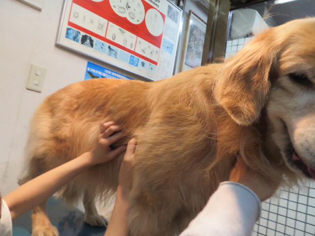 ファイル 3918-4.jpg